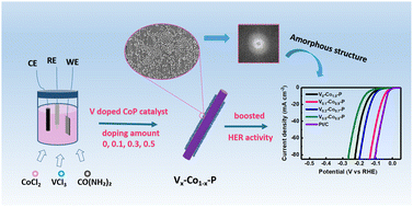 Graphical abstract: Vanadium-induced synthesis of amorphous V–Co–P nanoparticles for an enhanced hydrogen evolution reaction