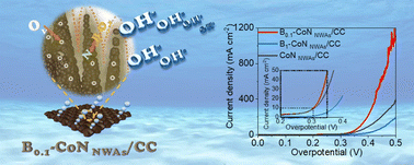 Graphical abstract: Special NaBH4 hydrolysis achieving multiple-surface-modifications promotes the high-throughput water oxidation of CoN nanowire arrays