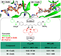 Graphical abstract: A curcumin-nicotinoyl derivative and its transition metal complexes: synthesis, characterization, and in silico and in vitro biological behaviors