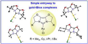 Graphical abstract: Simple synthetic access to [Au(IBiox)Cl] complexes