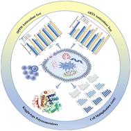 Graphical abstract: A study of the antioxidant properties of Keggin-type polyoxometalates