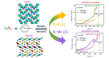 Graphical abstract: Organic–inorganic haloargentate hybrids of [Me-dabco]Ag2X3 (X = I or Br) with halide ions manipulating the crystal structure, phase transition, and dielectric behavior