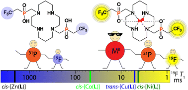 Graphical abstract: Transition metal complexes of cyclam with two 2,2,2-trifluoroethylphosphinate pendant arms as probes for 19F magnetic resonance imaging