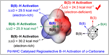 Graphical abstract: Pd-NHC catalysed regioselective activation of B(3,6)–H of o-carborane – a synergy between experiment and theory