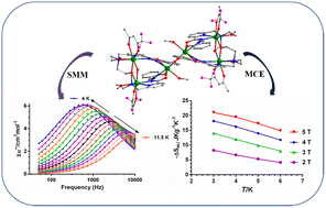 Graphical abstract: Synthesis, structures and magnetic studies of hexanuclear lanthanide complexes: SMM behavior of the DyIII analogue and MCE properties of the GdIII analogue