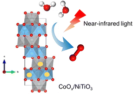 Graphical abstract: Driving a NiTiO3 photocatalyst for the oxygen evolution reaction with near-infrared light