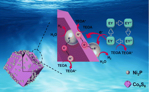 Graphical abstract: Co–P bond effect on an MOF-derived Co9S8 hollow polyhedron supported Ni2P co-catalyst for efficient photocatalytic hydrogen evolution