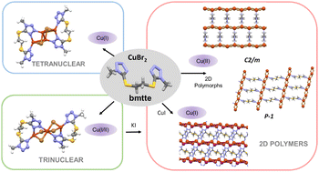 Graphical abstract: From Cu(i) and Cu(i)–Cu(ii) mixed-valence clusters to 2D Cu(ii) and Cu(i) coordination polymers supported by a flexible bis-tetrazole organosulfur ligand