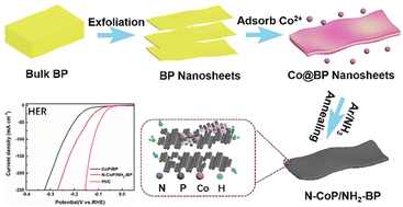 Graphical abstract: Nitrogen doped CoP on ammoniated black phosphorus nanosheets enabling highly efficient hydrogen evolution electrocatalysis