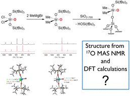 Graphical abstract: On the use of 17O NMR for understanding molecular and silica-grafted tungsten oxo siloxide complexes