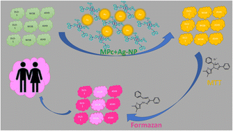 Graphical abstract: Design of N-heterocycle based-phthalonitrile/metal phthalocyanine–silver nanoconjugates for cancer therapies