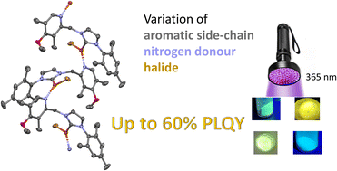 Graphical abstract: Polymeric copper(i)–NHC complexes with bulky bidentate (N^C) ligands: synthesis and solid-state luminescence