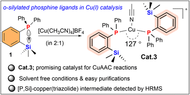 Graphical abstract: New cationic coinage metal complexes featuring silyl group functionalized phosphine: syntheses, structures and catalytic studies in alkyne–azide cycloaddition reactions