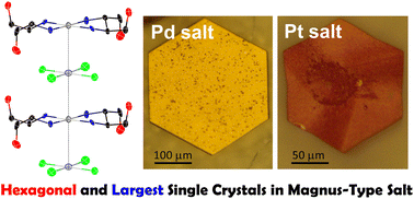 Graphical abstract: Hexagonal crystalline Magnus’ green salt analogues prepared from hydroxy-functionalised Pt and Pd complexes