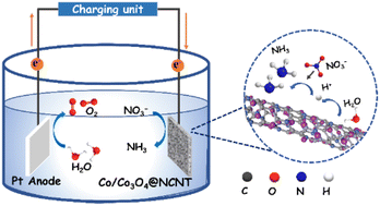 Graphical abstract: Heterostructured Co/Co3O4 anchored on N-doped carbon nanotubes as a highly efficient electrocatalyst for nitrate reduction to ammonia