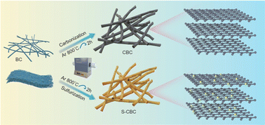 Graphical abstract: Sulfur-doped carbonized bacterial cellulose as a flexible binder-free 3D anode for improved sodium ion storage