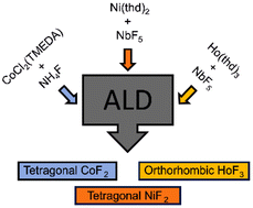 Graphical abstract: Atomic layer deposition of CoF2, NiF2 and HoF3 thin films