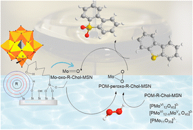 Graphical abstract: Enhanced adsorption–catalysis combination for the removal of sulphur from fuels using polyoxometalates supported on amphipathic hybrid mesoporous silica nanoparticles