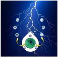 Graphical abstract: A quaternary heterojunction nanoflower for significantly enhanced electrochemical water splitting