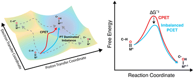 Graphical abstract: The role of basicity in selective C–H bond activation by transition metal-oxidos