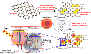 Graphical abstract: CdTe QD-decorated GO nanosheet heterojunction for efficient photocurrent generation and photocatalytic activity