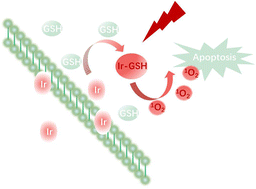 Graphical abstract: Two near-infrared phosphorescent iridium(iii) complexes for the detection of GSH and photodynamic therapy