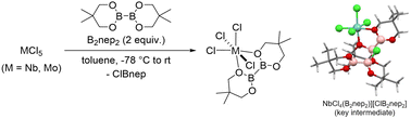 Graphical abstract: Bis(neopentylglycolato)diboron (B2nep2) as a bidentate ligand and a reducing agent for early transition metal chlorides giving MCl4(B2nep2) complexes