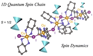 Graphical abstract: Spin dynamics in a Heisenberg weak antiferromagnetic chain of an iodide-bridged Cu(ii) complex