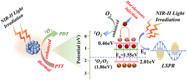 Graphical abstract: NIR-II responsive PEGylated MoO2 nanocrystals with LSPR for efficient photothermal and photodynamic performance enhancement