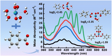 Graphical abstract: Complexation of uranyl with benzoic acid in aqueous solution at variable temperatures: potentiometry, spectrophotometry and DFT calculations