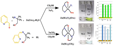 Graphical abstract: Anion-directed structural tuning of two azomethine-derived Zn2+ complexes with optoelectronic recognition of Cu2+ in aqueous medium with anti-cancer activities: from micromolar to femtomolar sensitivity with DFT revelation