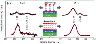 Graphical abstract: Molecularly-induced roughness and oxidation in cobalt/organodithiol/cobalt nanolayers synthesized by sputter-deposition and molecular sublimation