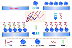 Graphical abstract: An electrochemical impedimetric platform formed by a CNT@UiO-66 nanocomposite for quantitative analysis of oxytetracycline