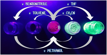 Graphical abstract: Vapochromic behaviour of a gold(i)–lead(ii) complex as a VOC sensor