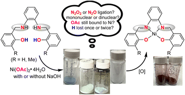 Graphical abstract: The curious cases of tetrahydrosalen-type ligands interacting with Ni(ii): structures and ligand-based oxidation reactions