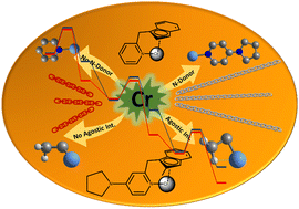 Graphical abstract: The role of agostic interaction in the mechanism of ethylene polymerisation using Cr(iii) half-sandwich complexes: What dictates the reactivity?