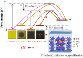 Graphical abstract: Low-temperature synergistic effect of MA and Cl towards high-quality α-FAPbI3 films for humid-air-processed perovskite solar cells