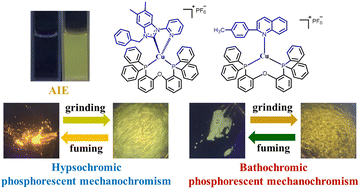 Graphical abstract: Hypso- or bathochromic phosphorescent mechanochromic mononuclear Cu(i) complexes with a bis(2-diphenylphosphinophenyl)ether auxiliary ligand