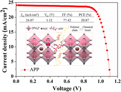 Graphical abstract: Air-processed MAPbI3 perovskite solar cells achieve 20.87% efficiency and excellent bending resistance enabled via a polymer dual-passivation strategy