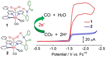 Graphical abstract: Effects of proton tunneling distance on CO2 reduction by Mn terpyridine species