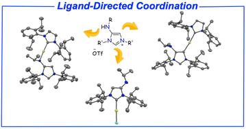 Graphical abstract: Gold complexes with remote-substituted amino N-heterocyclic carbenes