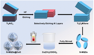 Graphical abstract: Exposing high-activity (111) facet CoO octahedral loading MXene quantum dots for efficient and stable photocatalytic H2 evolution