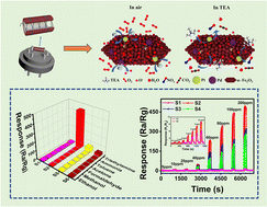 Graphical abstract: PtPd NPs-functionalized metal–organic framework-derived α-Fe2O3 porous spindles for efficient low-temperature detection of triethylamine