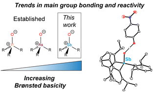 Graphical abstract: Variation in pnictogen–oxygen bonding unlocks greatly enhanced Brønsted basicity for the monomeric stibine oxide