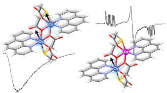 Graphical abstract: Synthesis, structure, and characterisation of a ferromagnetically coupled dinuclear complex containing Co(ii) ions in a high spin configuration and thiodiacetate and phenanthroline as ligands and of a series of isomorphous heterodinuclear complexes containing different Co : Zn ratios