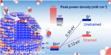 Graphical abstract: Lattice strain controlled Ni@NiCu efficient anode catalysts for direct borohydride fuel cells