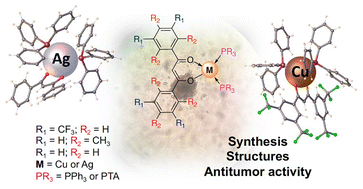 Graphical abstract: Synthesis and cytotoxicity studies of Cu(i) and Ag(i) complexes based on sterically hindered β-diketonates with different degrees of fluorination
