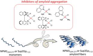 Graphical abstract: The inhibitory effects of platinum(ii) complexes on amyloid aggregation: a theoretical and experimental approach