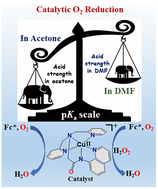 Graphical abstract: Kinetic and mechanistic investigations of dioxygen reduction by a molecular Cu(ii) catalyst bearing a pentadentate amidate ligand