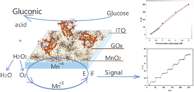 Graphical abstract: Formation of MnO2-coated ITO electrodes with high catalytic activity for enzymatic glucose detection